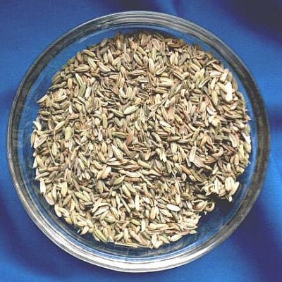Fenouil (Foeniculum vulgare) Sachet de 1000 g.