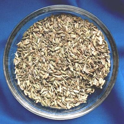 Fenchel (Foeniculum vulgare) Beutel mit 500 g.