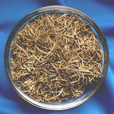 Spruce Needles (Picea abies) Bag with 50 g.