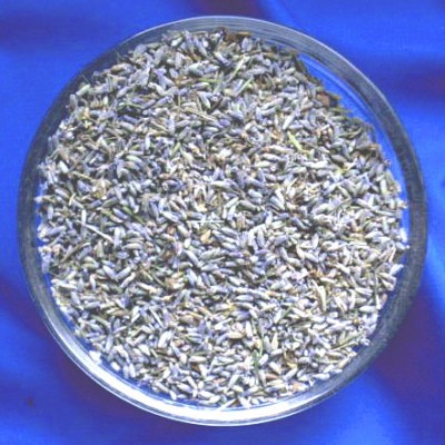 Lavendelblüten (Lavandula angustifolia) Beutel mit 1000 g.