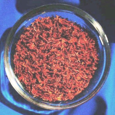 Safran (Stigma Croci)