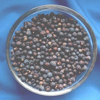 Juniper Berrys (Juniperus communis) Bag with 50 g.
