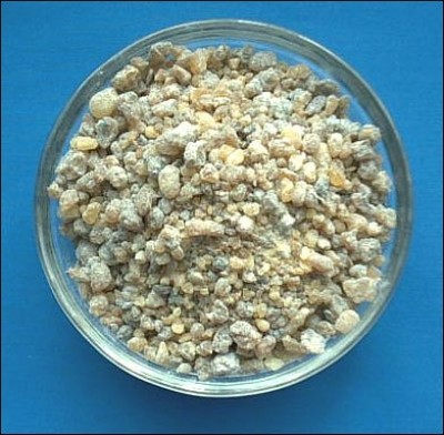 Indian Frankincense (Boswellia Serrata) Glass 50 ml. (30 g.)