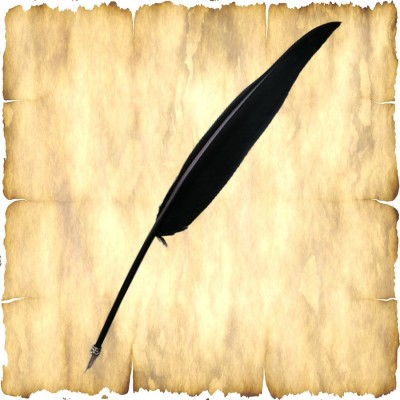 Feather quill with metal nib, black.