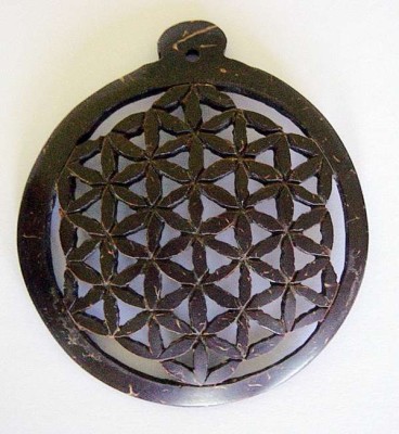 Anhänger Blume des Lebens (Rune Hagal)