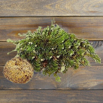 Rose of Jericho Carton with 10 Kg