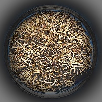 Spruce needles (Picea abies) Bag with 50g