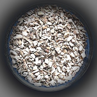 Kalmus (Calami rhizoma) Beutel mit 1000 g