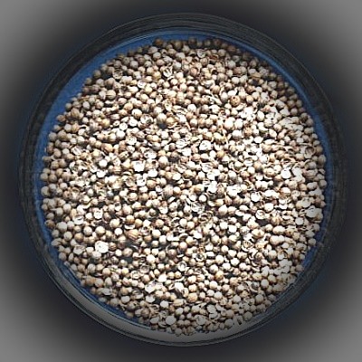 Coriandolo (Coriandrum sativum) Sacchetto di 250 g