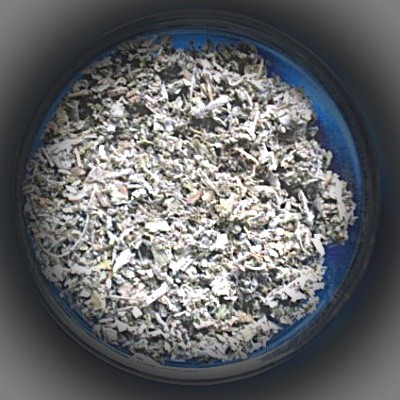 Sauge officinale (Salvia officinalis) Sachet de 250 g