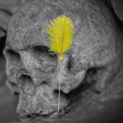 Voodoo Needle, yellow