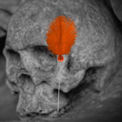 Voodoo needle orange