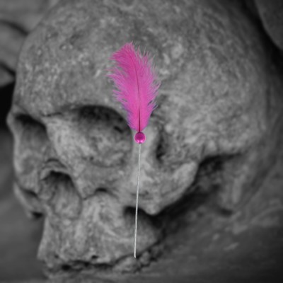 Voodoo needle pink