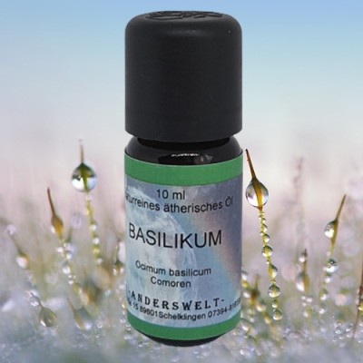 Ätherisches Öl Basilikum (Ocimum Basilicum) VE = 5 x 10 ml