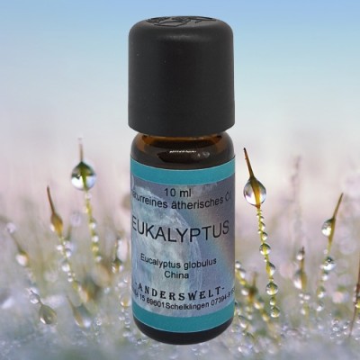 Olio essenziale Eucalipto (Eucalyptus globulus), flacone con 10 ml