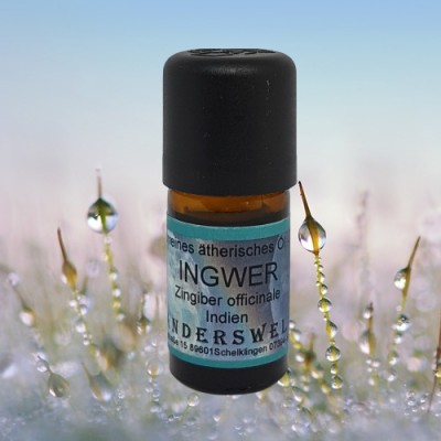 Essential Oil Ginger (Ziniber officinalis) Phial with 5 ml.