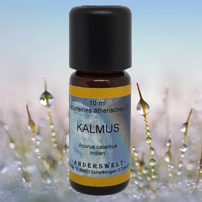 Olio essenziale Calamo aromatico (Acorus calamus), flacone con 10 ml