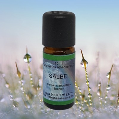 Aceite esencial de salvia (Salvia lavandulifolia) Botella con 250 ml