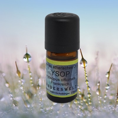 Essential Oil Hyssop (Hyssopus officinalis) Phial with 5 ml
