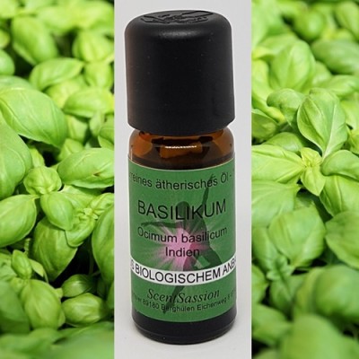 Essential Oil Basil (Ocimum Basilicum) Bio 10 ml