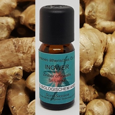 Essential Oil Ginger Bio (Ziniber officinalis) 10 ml