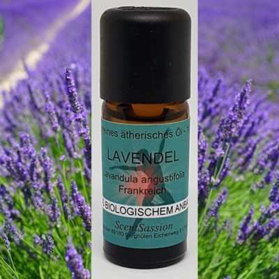 Huile essentielle Lavande vraie Bio (Lavandula angustifolia) 10 ml