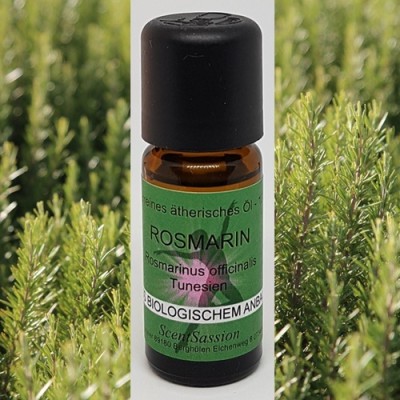 Essential Oil Rosemary Bio (Rosmarinus officinalis) 10 ml