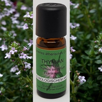 Ätherisches Öl Thymian Bio (Thymus serpyllum) 10 ml