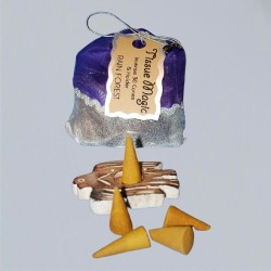 Tissue Magic Incense Cones with holder in a bag, Rain Forest