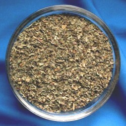 Basilic (Ocimum basilicum)