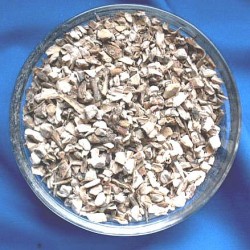Raíz de cálamo (Calami rhizoma)