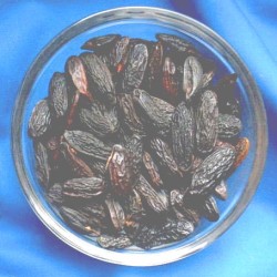 Fèves de tonka (Dipteryx odorata) Sachet de 250 g