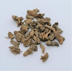 Lucky Hand Root (Racine de la main chanceuse) 25 g