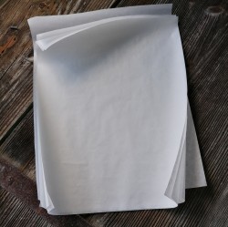 Parchment Paper 4 pages
