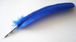 Feather quill, with replaceable metal nib, dark blue