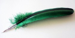 Feather quill, with replaceable metal nib, dark green.
