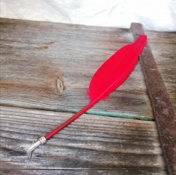 Plume d'oie avec plume d'écriture en métal, rouge