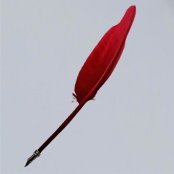 Feather quill with metal nib, red