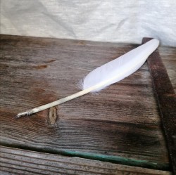 Plume blanche avec pointe en laiton