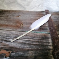 Feather quill with metal nib, white.