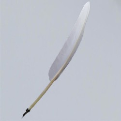 Feather quill with metal nib, white.