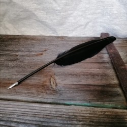 Feather quill with metal nib, black.