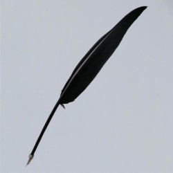 Plume d'oie avec plume d'écriture en métal, noir