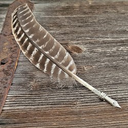 Quill con pluma de escribir de metal de pavo natural