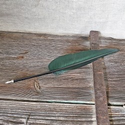 Feather quill with metal nib, green.