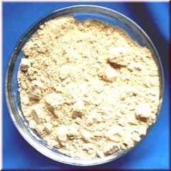 Devil's Dung Bag with 500 g