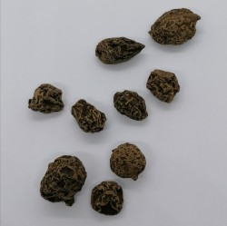 High John the Conqueror Root small pieces Bag with 100 g.