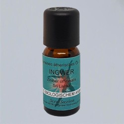 Essential Oil Ginger Bio (Ziniber officinalis) 10 ml